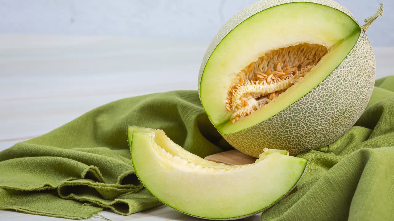Ilustrasi buah melon