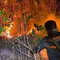 Kebakaran Hutan Pinus Butak Meluas, Api Mendekati Permukiman