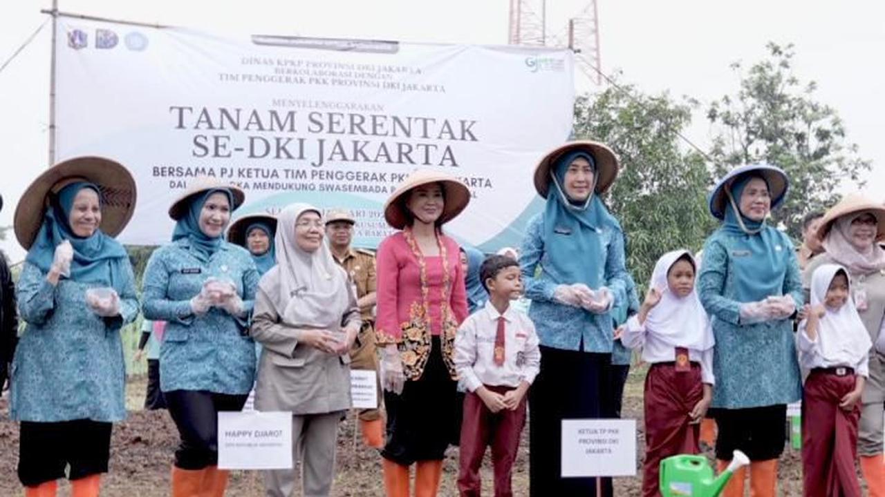 Anggota komite II DPD RI Dapil Jakarta, Happy Djarot berpartisipasi dalam kegiatan tanam serentak se-Jakarta (Istimewa)