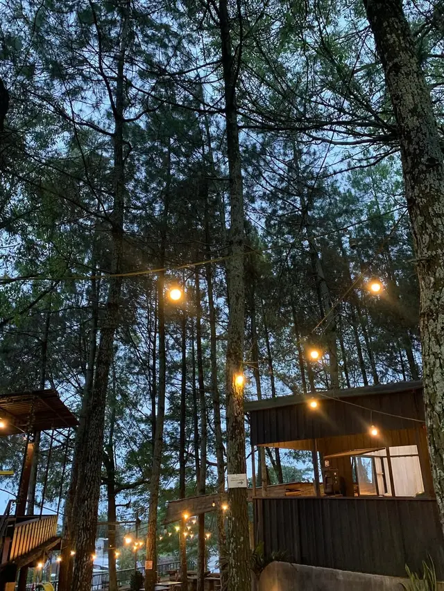 Rekomendasi Tempat Makan Enak di Malang Suasana Alam Terbaru 2025, Café Taman Pinus.
