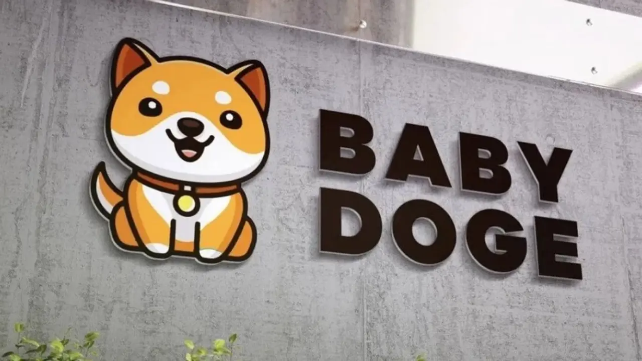 Intip Gerak Harga Kripto BabyDoge Coin Hari Ini 23 Oktober 2023