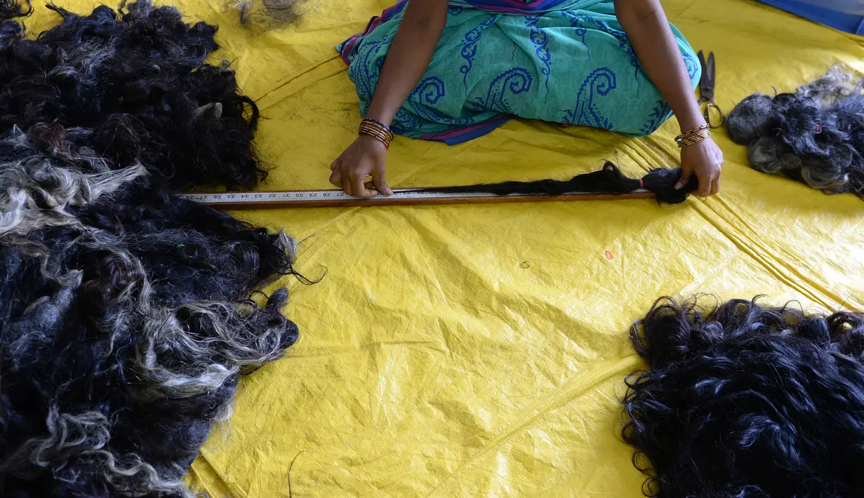 Pekerja mengukur rambut manusia untuk akan jadikan wig atau rambut palsu di pusat pengolahan Raj Hair International di Alinjivakkam, India (25/7). Industri rambut palsu di India sudah berkembang sejak dulu. (AFP Photo/Arun Sankar)