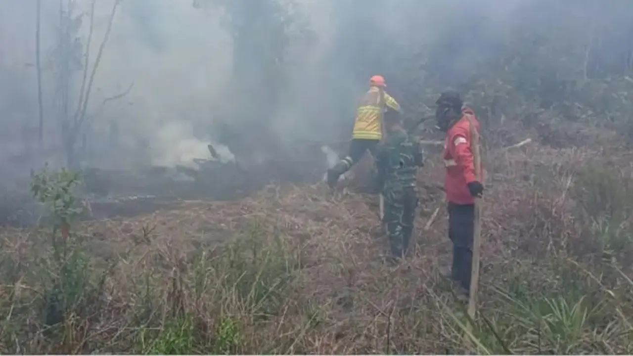 Pemadaman kebakaran hutan dan lahan di palangka raya pada selasa (13/10/2026). (dokumentasi kemenhut).
