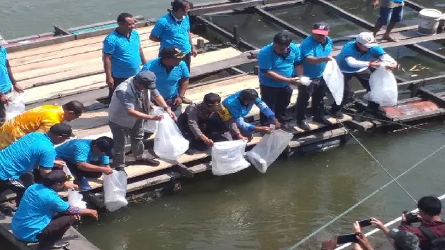 Ikan