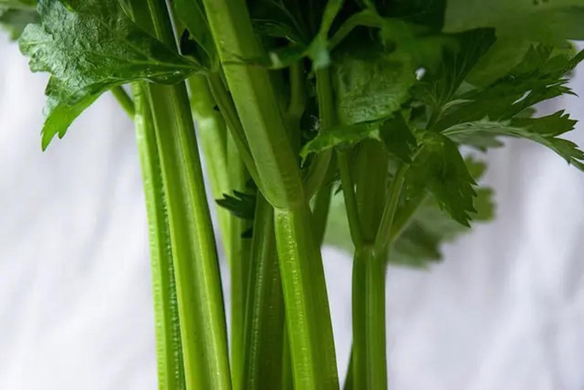 Trik Simpan Daun Bawang dan Seledri Tetap Segar Selama 2 Minggu Tanpa Freezer