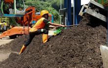 Jika Harga Pupuk Naik Rp1.000, Produksi Padi Turun Setengah Ton Per Hektare