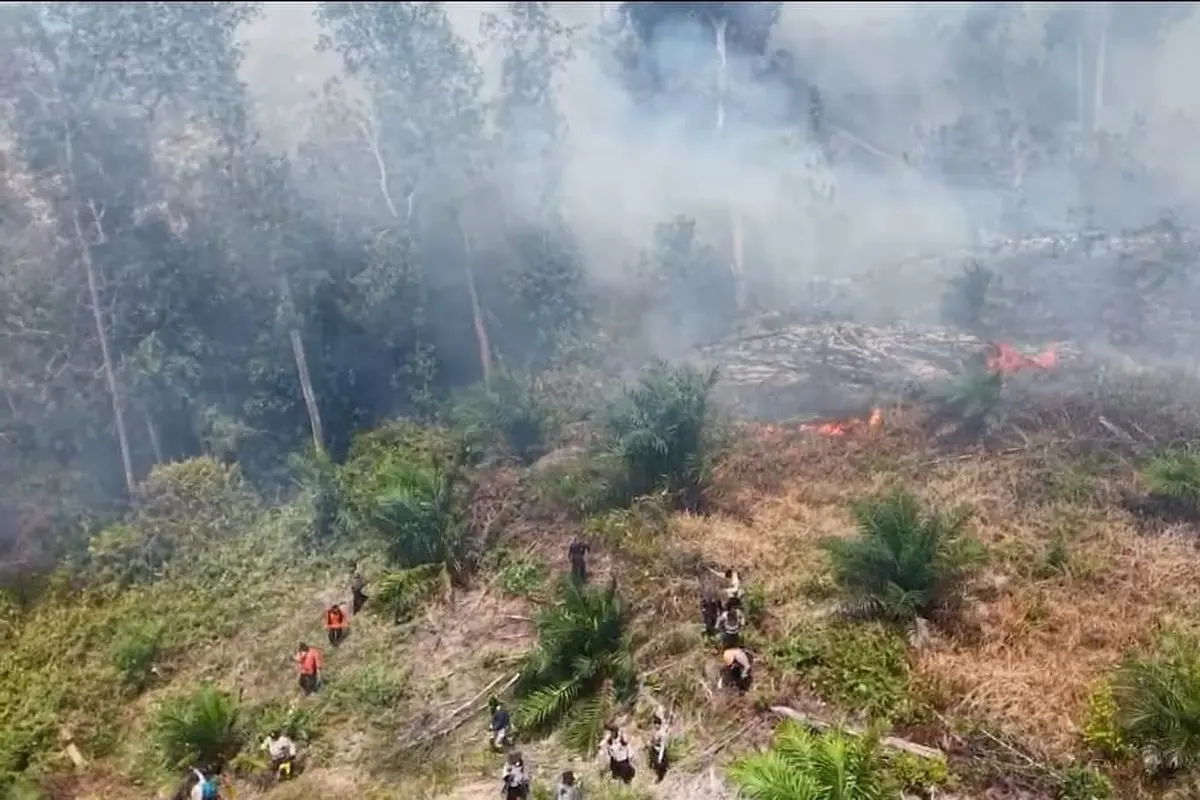 1000 Hektare Lahan Terbakar dalam 24 Jam di Riau, 29 Tersangka Pembakaran Ditangkap dalam Sepekan