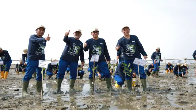 Inisiatif Penanaman Mangrove Jadi Solusi Efektif untuk Perlindungan Ekosistem Pesisir
