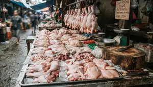 Tanda Ayam Mentah Sudah Tidak Layak Dikonsumsi yang Perlu Dikenali, Jangan Terkecoh Tampilan Segar