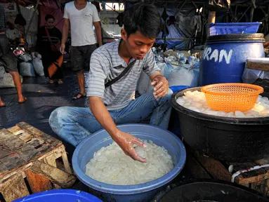 Seorang pedagang saat memilih kolang-kaling di Pasar Induk, Kramat Jati, Jakarta, Jumat (19/6/2015). Untuk memenuhi permintaan konsumen, pedagang kolang-kaling di pasar Induk, kramat jati menambah pasokan kolang-kaling. (Liputan6.com/Yoppy Renato)