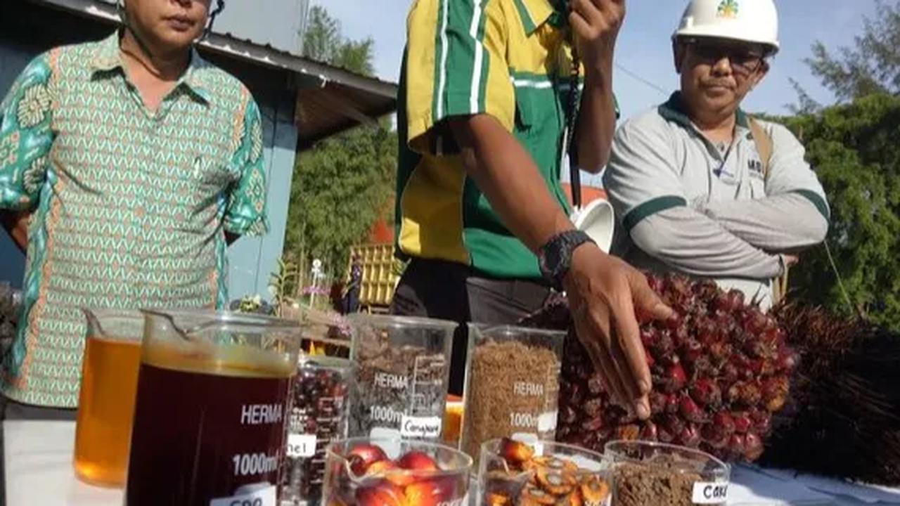 PGN dan PPI juga menggiatkan kerja sama strategis, teknis, dan komersial untuk pengembangan dan pemanfaatan proyek, salah satunya, biometana, yang memiliki prospek positif di masa depan.