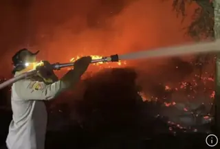 Kebakaran di Kalteng tidak hanya terjadi di lahan warga, namun juga area milik bekas perusahaan yang disita oleh Satgas PKH. (Foto: Antara)