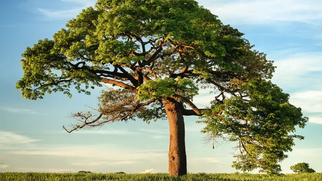 Finding Inner Strength