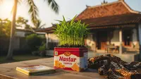 8 Konsep Kebun Buah Dari Kaleng Bekas Kue: Solusi Untuk Lahan Sempit &amp; Tips Merawatnya