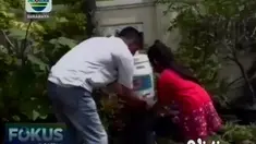 Sebelum virus corona muncul, ternyata warga Kota Gresik sudah membudidayakan tanaman obat asli Indonesia seperti tanaman toga. Tanaman tersebut bermanfaat untuk menamengi imunitas tubuh dari serangan virus.