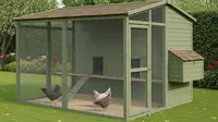 8 Desain Kandang Ayam Anti Tikus yang Efektif, Solusi Praktis untuk Peternak