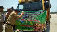 Hasil Riset Unpad dan Kementan, Buah Mangga Indonesia Aman dari Lalat Buah dan Siap Ekpor