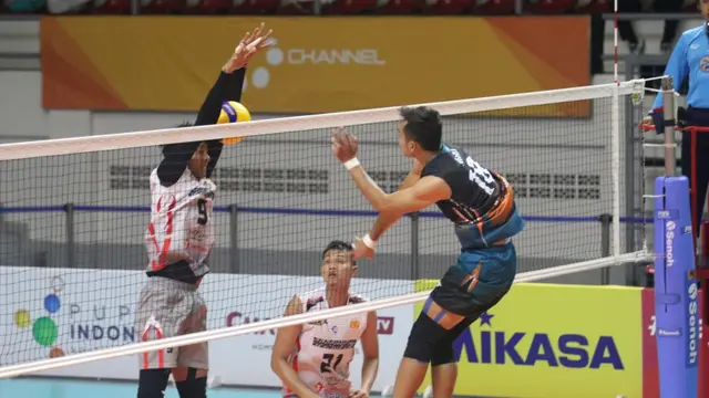 PLN Mobile Proliga 2022