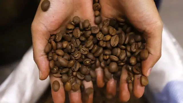 Biji Kopi. (foto: Pinterest/Jawapos).