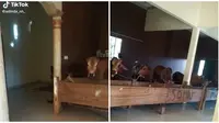 Sapi ini punya kandang super mewah, beralaskan lantai dan tak kepanasan. (Sumber: TikTok/adinda_nh_)