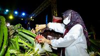 Bupati Banyuwangi Ipuk Fiestiandani saat memetik buah naga di Festival Buah Naga 2022. (Istimewa)