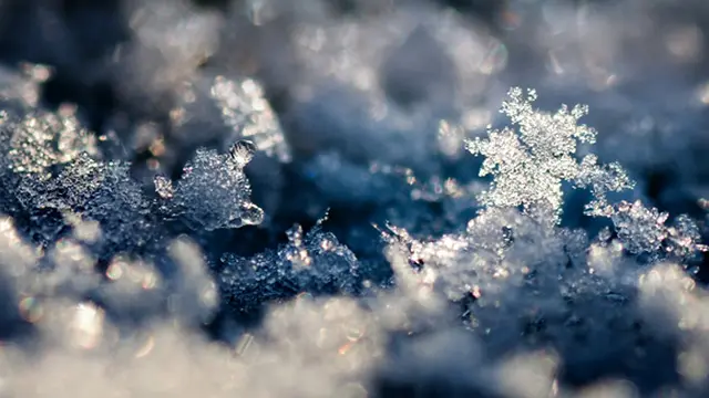 Foto: copyright wallpaperstock.net