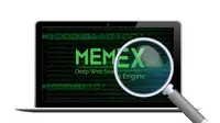 Memex Search Engine