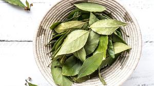 7 Cara Menyimpan Daun Salam Segar agar Tidak Cepat Menguning, Tetap Hijau dan Wangi