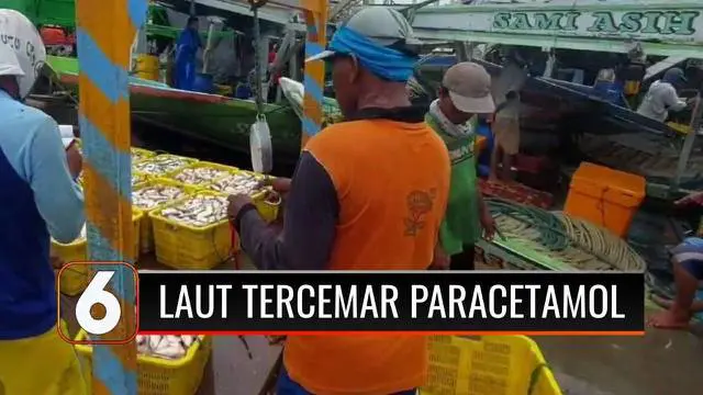 Penelitian dalam Jurnal Science Direct mengungkapkan bahwa perairan Teluk Jakarta terkontaminasi kandungan obat paracetamol tinggi di Muara Angke dan Ancol. Nelayan pun mengaku kerap melihat air laut berwarna merah kecoklatan serta banyak bangkai ika...