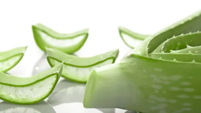 Foto: copyright Thinkstockphotos.com