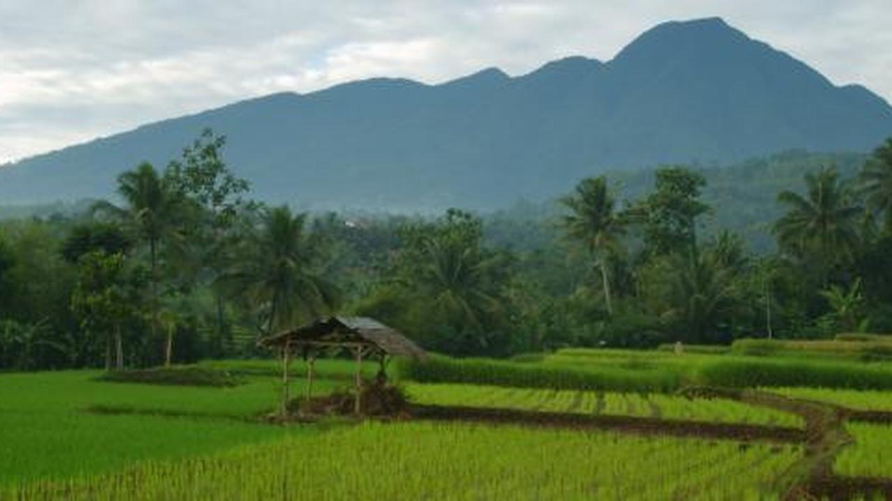 Benarkah Prabu Siliwangi wafat di Gunung Salak?
