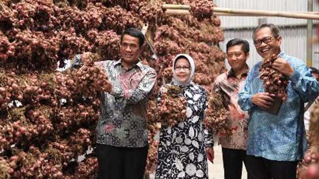 Stok Bawang Merah Lebih Dari Cukup untuk Hadapi Ramadan