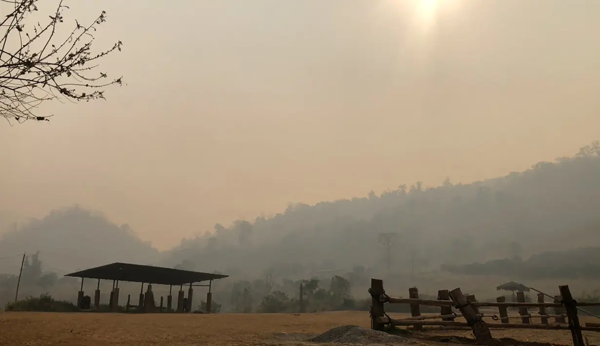 Sebuah kamp gajah kosong di dekat Peternakan Gajah Patara dekat Chiang Mai, Thailand (29/3/2020). Melepaskan gajah-gajah tersebut ke alam liar adalah tindakan ilegal di Thailand. Pasalnya, gajah-gajah tersebut adalah gajah jinak. (HANDOUT/THAI ELEPHANT ALLIANCE ASSOCIATION/AFP)
