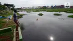 Warga memancing ikan di Tempat Pemakaman Umum (TPU) Semper yang terendam banjir, Jakarta, Kamis (11/11/2021). Ratusan makan di TPU Semper terendam banjir akibat hujan deras yang menguyur Ibu Kota beberapa hari lalu. (merdeka.com/Imam Buhori)