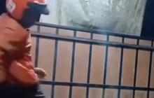 Ngakak, Kurir Lompat-lompat Kepanasan Usai Tak Sengaja Duduk di Bodi Motor yang Baru Dilas