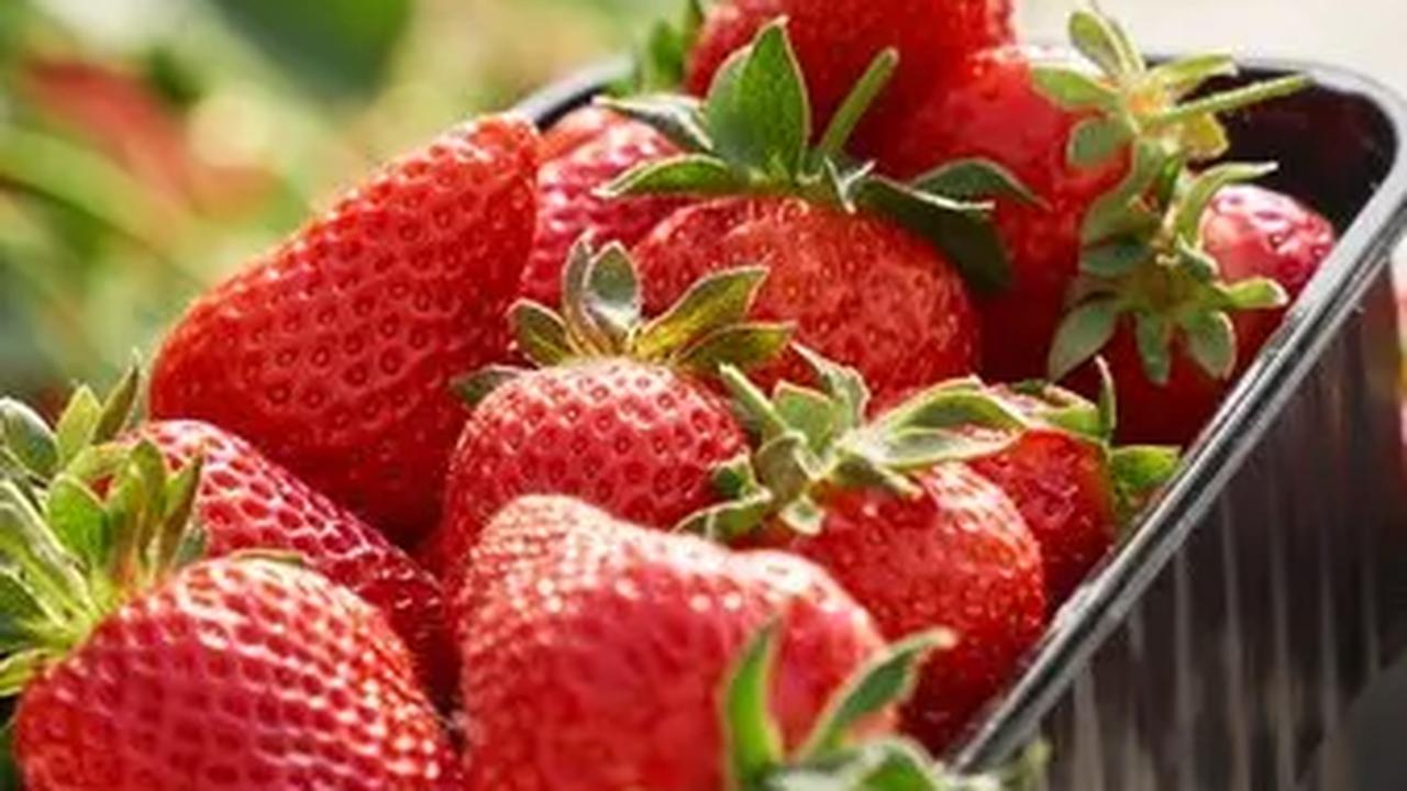 Karakteristik Positif dan Negatif Strawberry Generation