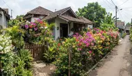 6 Ide Pagar Hidup dari Tanaman Berbunga di Rumah Perkampungan, Mudah Dirawat