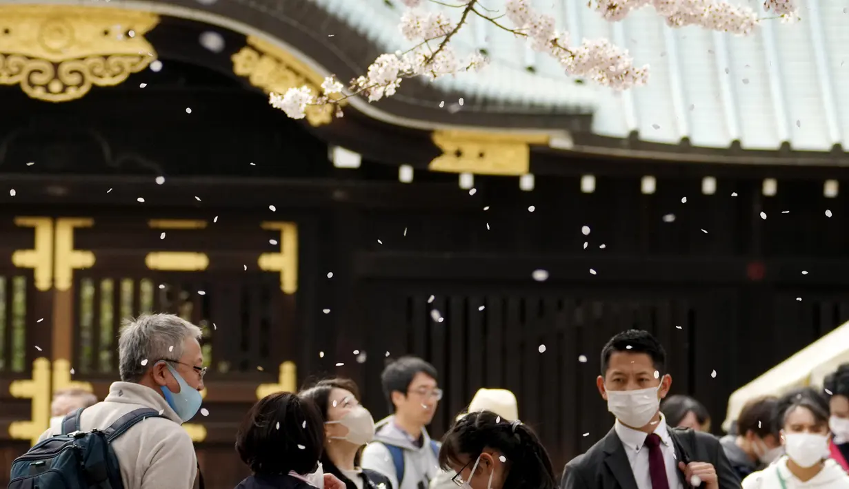 Pengunjung berjalan-jalan di bawah pancuran bunga sakura yang mekar penuh di kuil shinto di Tokyo, Kamis (31/3/2022). (AP Photo/Shuji Kajiyama)
