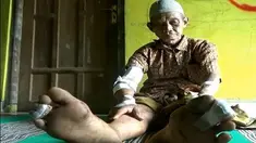 Mengamuknya babi hutan tersebut diduga karena habitatnya terganggu, lantaran warga mulai melakukan aktivitas penebangan pohon.