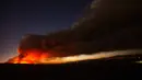 Asap mengepul ke udara saat kebakaran melanda Hutan Nasional Angeles di California, Amerika Serikat, Rabu (12/8/2020). Kebakaran yang diberi nama Lake Fire tersebut terjadi di sekitar Danau Hughes. (AP Photo Ringo H.W. Chiu)
