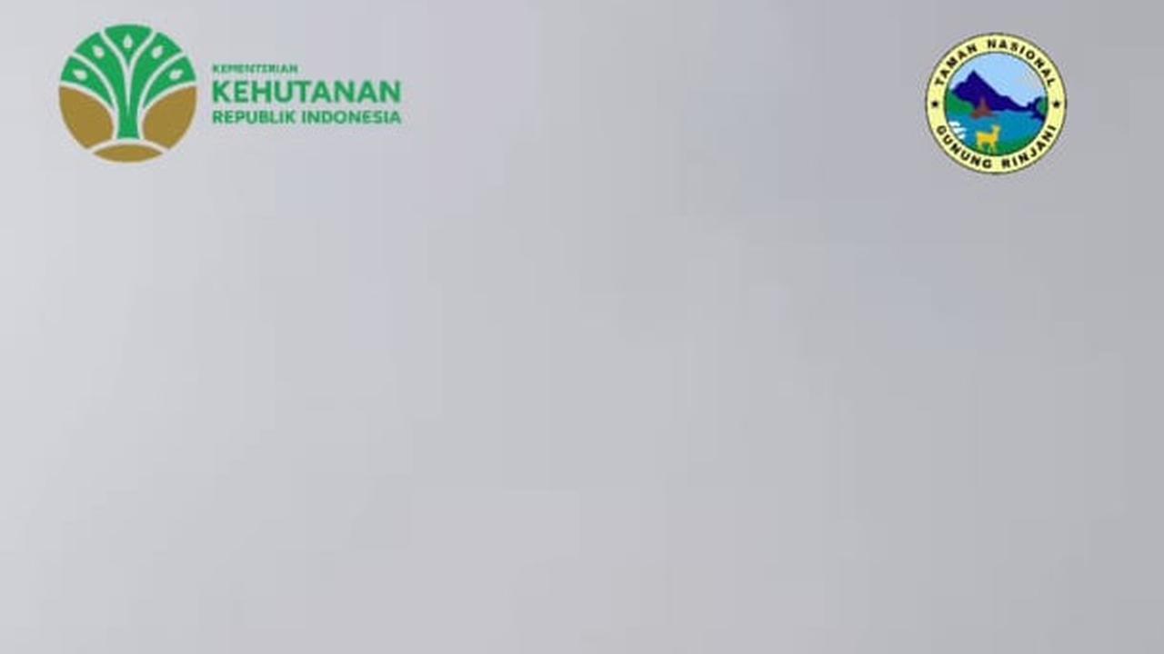 Proses evakuasi pendaki asal Swiss