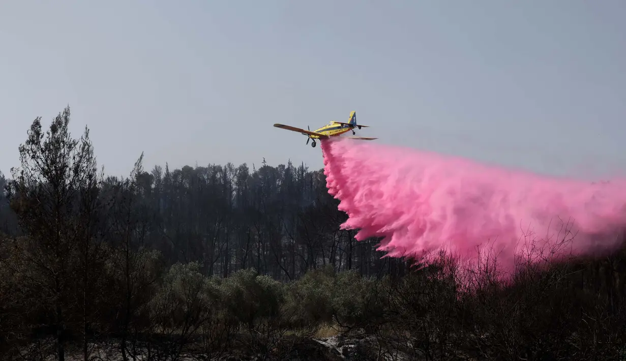 Dinas Pemadam Kebakaran dan Penyelamatan Israel mengatakan sekitar 120 anggota tim, 12 pesawat pemadam kebakaran dan helikopter dikerahkan untuk memadamkan api. (Ahmad GHARABLI/AFP)