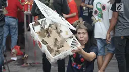 Seorang warga keturunan Tionghoa melepas burung pipit di luar Vihara Dharma Bhakti, Petak Sembilan, Jakarta Barat, Jumat (16/2). Tradisi saat perayaan tahun baru Imlek 2569 itu diyakini memiliki makna 'membuang sial'. (Liputan6.com/Arya Manggala)