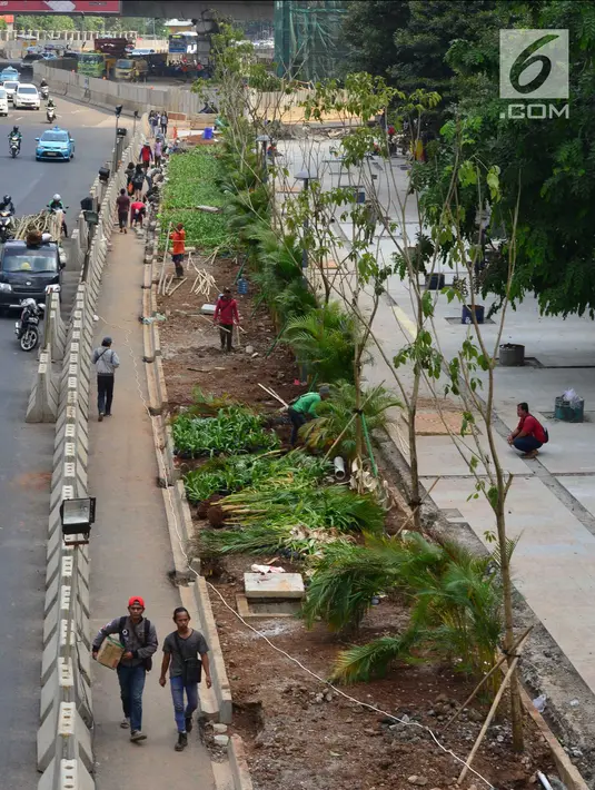 Pemandangan jalur pedestrian Jalan Sudirman, Jakarta, Jumat (6/7). Penanaman pohon di jalur pedestrian ini dilakukan untuk mempercantik Jakarta jelang Asian Games 2018. (Liputan6.com/Arya Manggala)