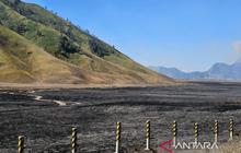 Menteri Kehutanan Raja Juli Antoni Desak Sanksi Tegas bagi Pelaku Kebakaran Gunung Bromo