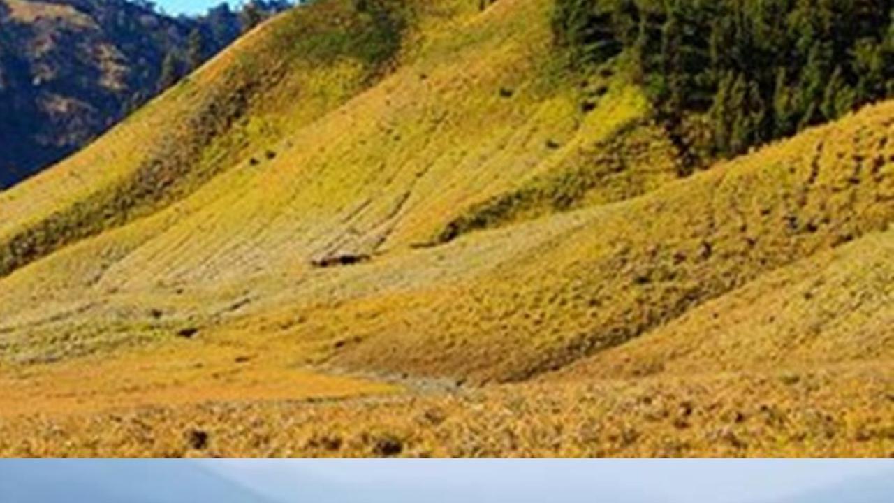 Miris! Begini Penampakan Terkini Savana Bromo dari Kamera Drone Usai Kebakaran Hebat
