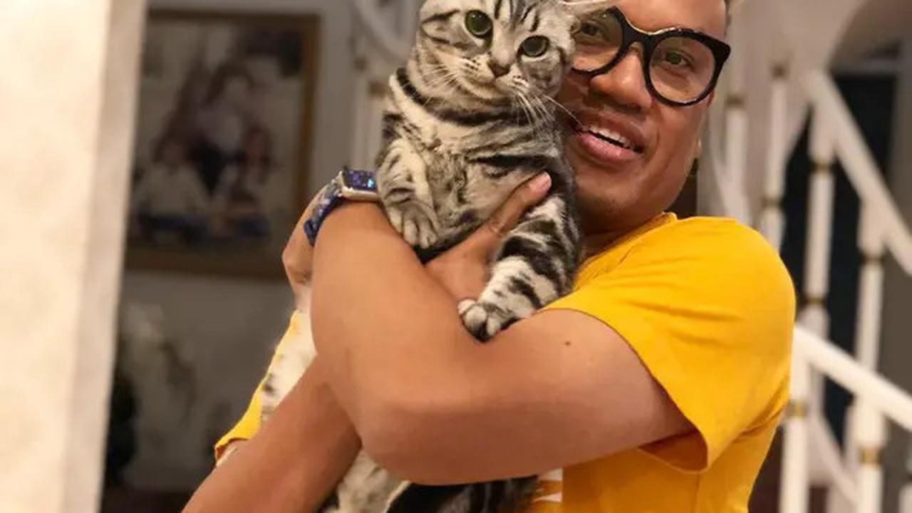Cerita Sherina Munaf Rescue Kucing Uya Kuya Pasca Penjarahan, Kondisinya Malnutrisi