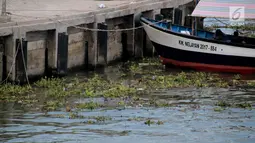 Sebuah kapal berlabuh dekat pinggir pantai Kelurahan Pohe yang dipenuhi eceng gondok, Gorontalo, Jumat (22/2). Tanaman ini berasal dari Danau Limboto yang terbawa arus hingga ke Teluk Gorontalo dan memenuhi pinggiran pantai. (Liputan6.com/Arfandi Ibrahim)