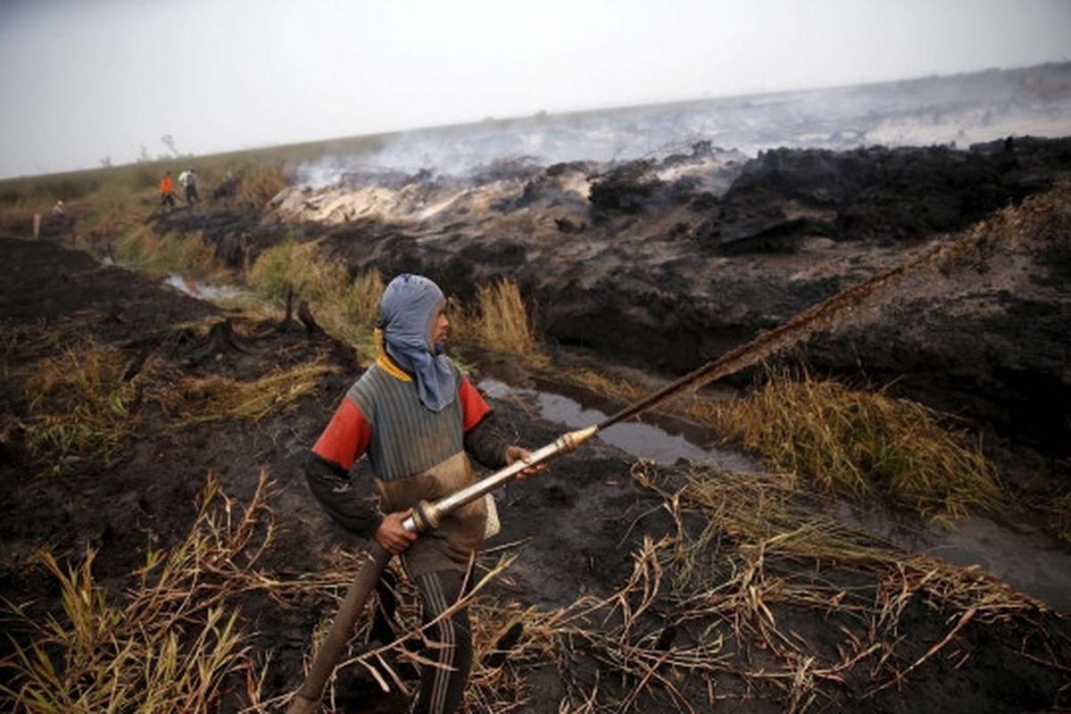 Kisah heroik warga Sumsel bantu padamkan kebakaran hutan