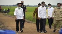 Menteri Pertanian, Syahrul Yasin Limpo (SYL) mendampingi Presiden Joko Widodo meninjau lokasi lahan rawa pengembangan food estate atau lumbung pangan dan saluran primer induk UPT A5 di Kapuas, Kalimantan Tengah.